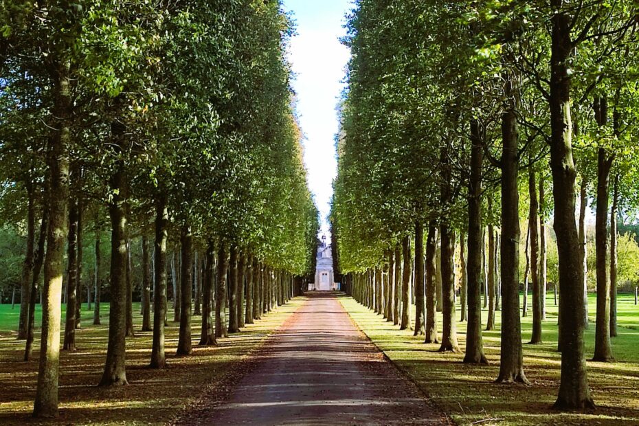 The beech avenue to the Gardens of Brécy, Normandy