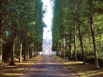 The alley with lime trees leading to Château de Brécy in Normandy