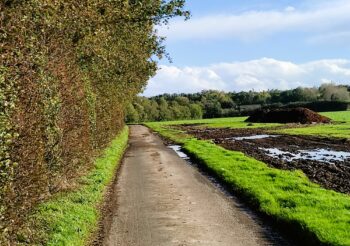 The narrow road to arrive to Château de Brécy, Normandy