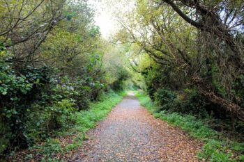 The path leading to the beach of Longues-sur-Mer, Normandy