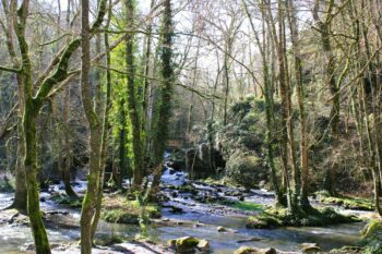 Hiking around Soumont Saint Quentin, Normandy